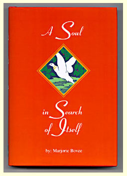 Soul book jacket