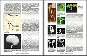 MCSP sample pages