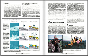 MCSP sample pages