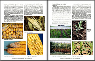 MCSP sample pages